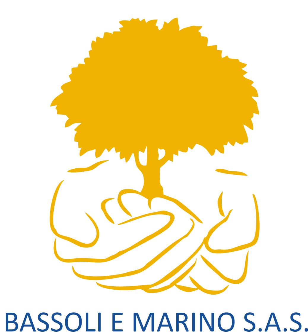 Logo Bassoli e Marino